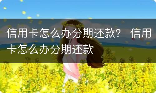 信用卡怎么办分期还款？ 信用卡怎么办分期还款