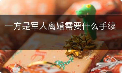 一方是军人离婚需要什么手续
