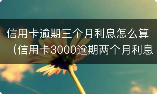信用卡逾期三个月利息怎么算（信用卡3000逾期两个月利息是多少）