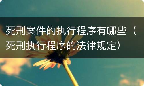 死刑案件的执行程序有哪些（死刑执行程序的法律规定）