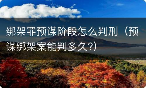 绑架罪预谋阶段怎么判刑（预谋绑架案能判多久?）