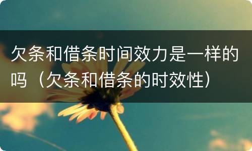 欠条和借条时间效力是一样的吗（欠条和借条的时效性）