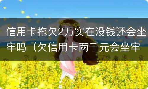 信用卡拖欠2万实在没钱还会坐牢吗（欠信用卡两千元会坐牢吗）
