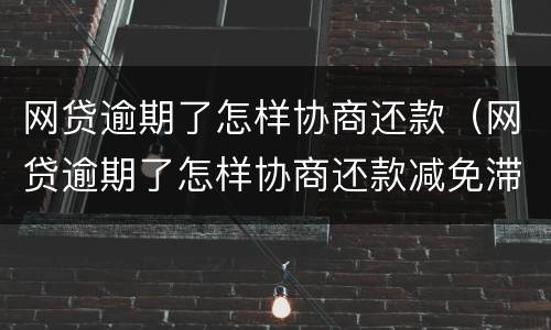 网贷逾期了怎样协商还款（网贷逾期了怎样协商还款减免滞纳金）