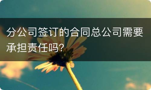 分公司签订的合同总公司需要承担责任吗？