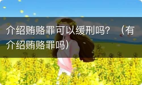 介绍贿赂罪可以缓刑吗？（有介绍贿赂罪吗）