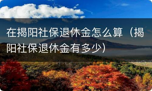 在揭阳社保退休金怎么算（揭阳社保退休金有多少）
