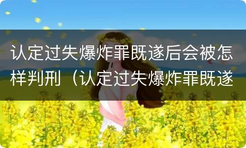 认定过失爆炸罪既遂后会被怎样判刑（认定过失爆炸罪既遂后会被怎样判刑呢）