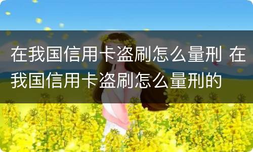 在我国信用卡盗刷怎么量刑 在我国信用卡盗刷怎么量刑的
