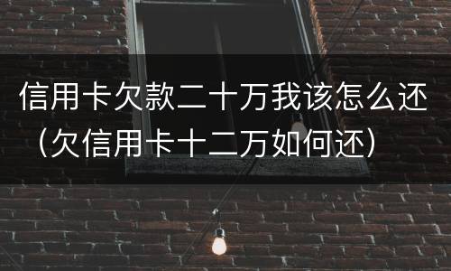信用卡欠款二十万我该怎么还（欠信用卡十二万如何还）