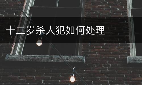 十二岁杀人犯如何处理