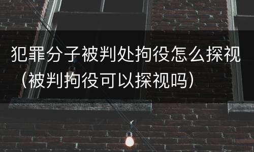 犯罪分子被判处拘役怎么探视（被判拘役可以探视吗）