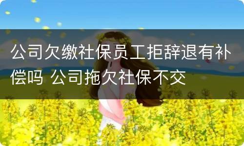 公司欠缴社保员工拒辞退有补偿吗 公司拖欠社保不交