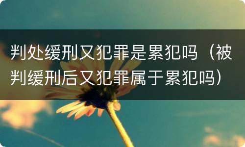 判处缓刑又犯罪是累犯吗（被判缓刑后又犯罪属于累犯吗）
