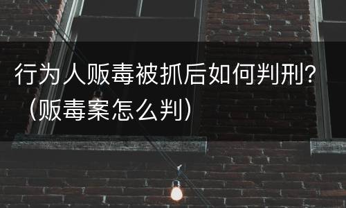 行为人贩毒被抓后如何判刑？（贩毒案怎么判）