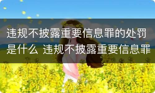 违规不披露重要信息罪的处罚是什么 违规不披露重要信息罪的处罚是什么意思