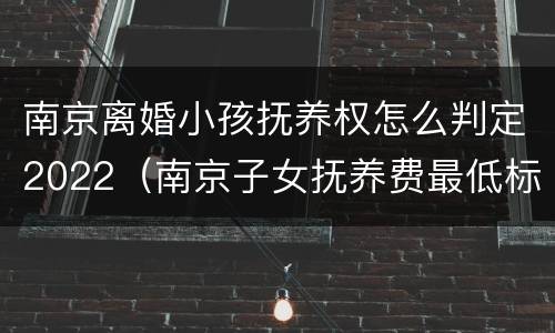 南京离婚小孩抚养权怎么判定2022（南京子女抚养费最低标准）