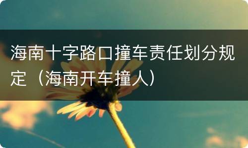 海南十字路口撞车责任划分规定（海南开车撞人）