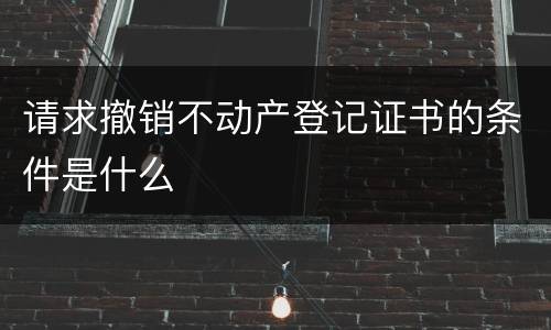 请求撤销不动产登记证书的条件是什么