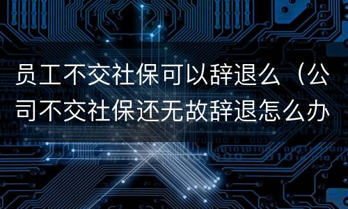 员工不交社保可以辞退么（公司不交社保还无故辞退怎么办）