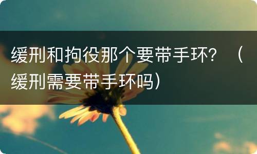 缓刑和拘役那个要带手环？（缓刑需要带手环吗）