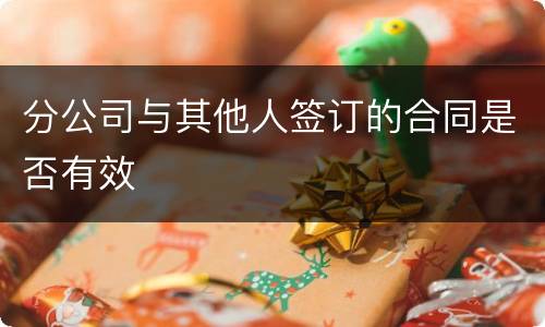分公司与其他人签订的合同是否有效