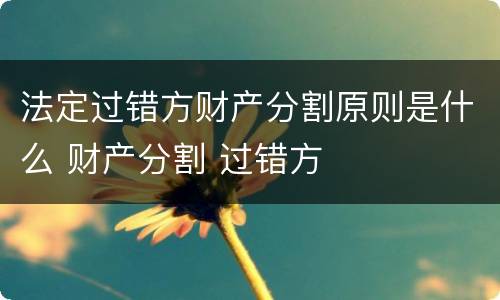 法定过错方财产分割原则是什么 财产分割 过错方