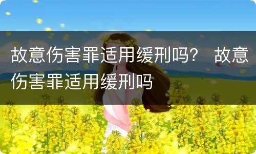 故意伤害罪适用缓刑吗？ 故意伤害罪适用缓刑吗