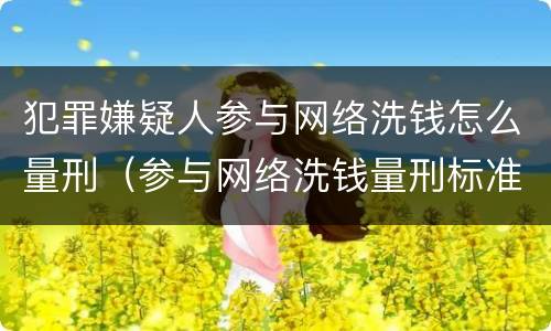犯罪嫌疑人参与网络洗钱怎么量刑（参与网络洗钱量刑标准）