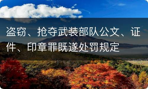 盗窃、抢夺武装部队公文、证件、印章罪既遂处罚规定