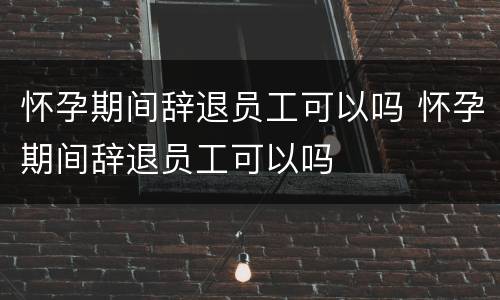 怀孕期间辞退员工可以吗 怀孕期间辞退员工可以吗