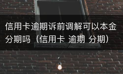 信用卡逾期诉前调解可以本金分期吗（信用卡 逾期 分期）