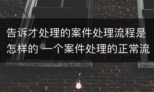 告诉才处理的案件处理流程是怎样的 一个案件处理的正常流程