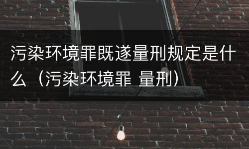 污染环境罪既遂量刑规定是什么（污染环境罪 量刑）
