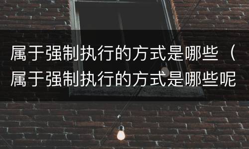 属于强制执行的方式是哪些（属于强制执行的方式是哪些呢）