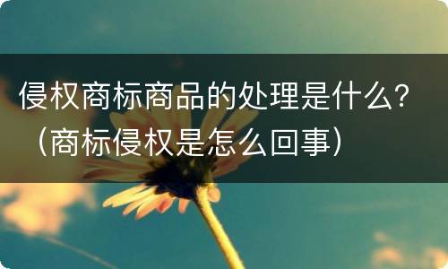 侵权商标商品的处理是什么？（商标侵权是怎么回事）