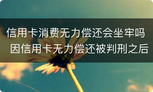 信用卡消费无力偿还会坐牢吗 因信用卡无力偿还被判刑之后还需要还吗