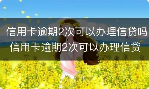 信用卡逾期2次可以办理信贷吗 信用卡逾期2次可以办理信贷吗知乎