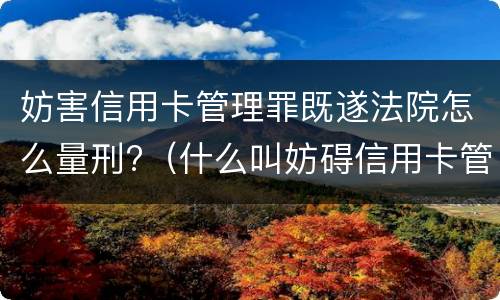 妨害信用卡管理罪既遂法院怎么量刑?（什么叫妨碍信用卡管理罪）