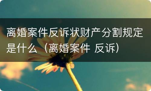 离婚案件反诉状财产分割规定是什么（离婚案件 反诉）