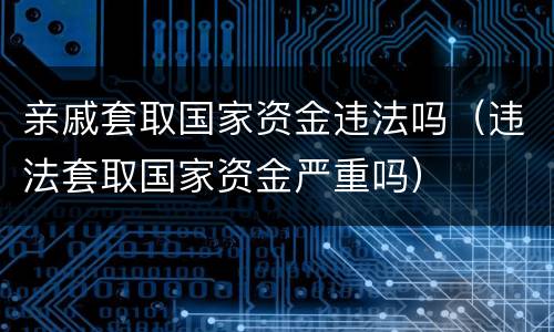 亲戚套取国家资金违法吗（违法套取国家资金严重吗）