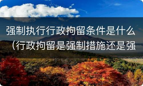 强制执行行政拘留条件是什么（行政拘留是强制措施还是强制执行）