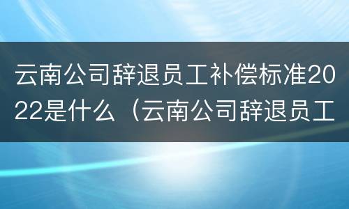 云南公司辞退员工补偿标准2022是什么（云南公司辞退员工补偿标准2022是什么时候发）