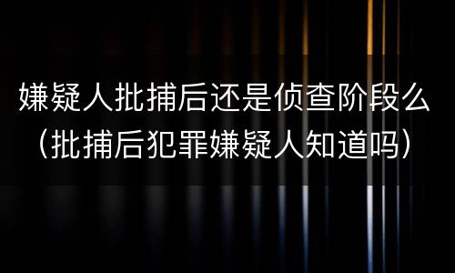 嫌疑人批捕后还是侦查阶段么（批捕后犯罪嫌疑人知道吗）
