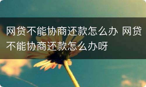 网贷不能协商还款怎么办 网贷不能协商还款怎么办呀