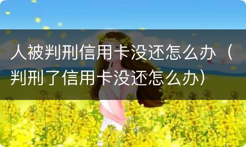 人被判刑信用卡没还怎么办（判刑了信用卡没还怎么办）