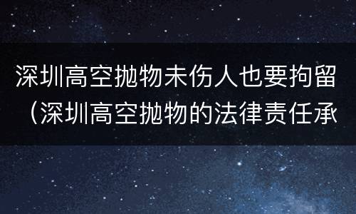 深圳高空抛物未伤人也要拘留（深圳高空抛物的法律责任承担）