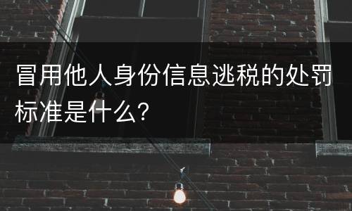 冒用他人身份信息逃税的处罚标准是什么？