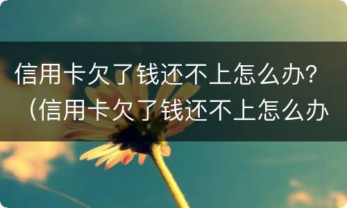 信用卡欠了钱还不上怎么办？（信用卡欠了钱还不上怎么办）