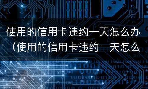 使用的信用卡违约一天怎么办（使用的信用卡违约一天怎么办理）